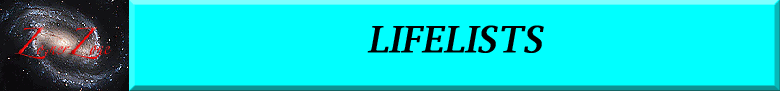 Banner for Life Lists